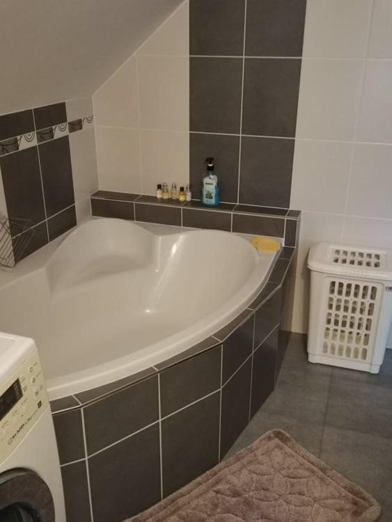 Apartament Apartman Damiko Chřibská Zewnętrze zdjęcie