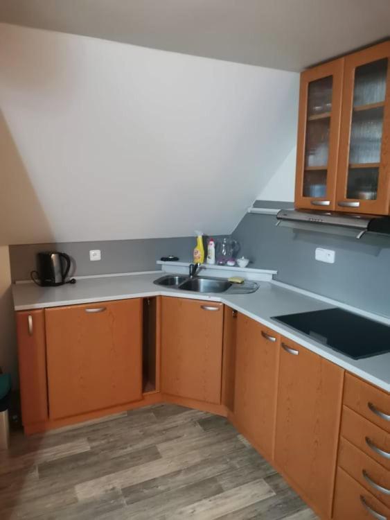 Apartament Apartman Damiko Chřibská Zewnętrze zdjęcie